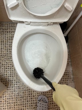 화장실 청소 솔로 양변기를 닦는 모습